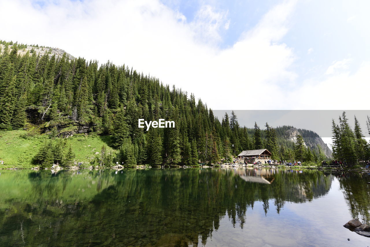 Scenic view of lake by trees against sky