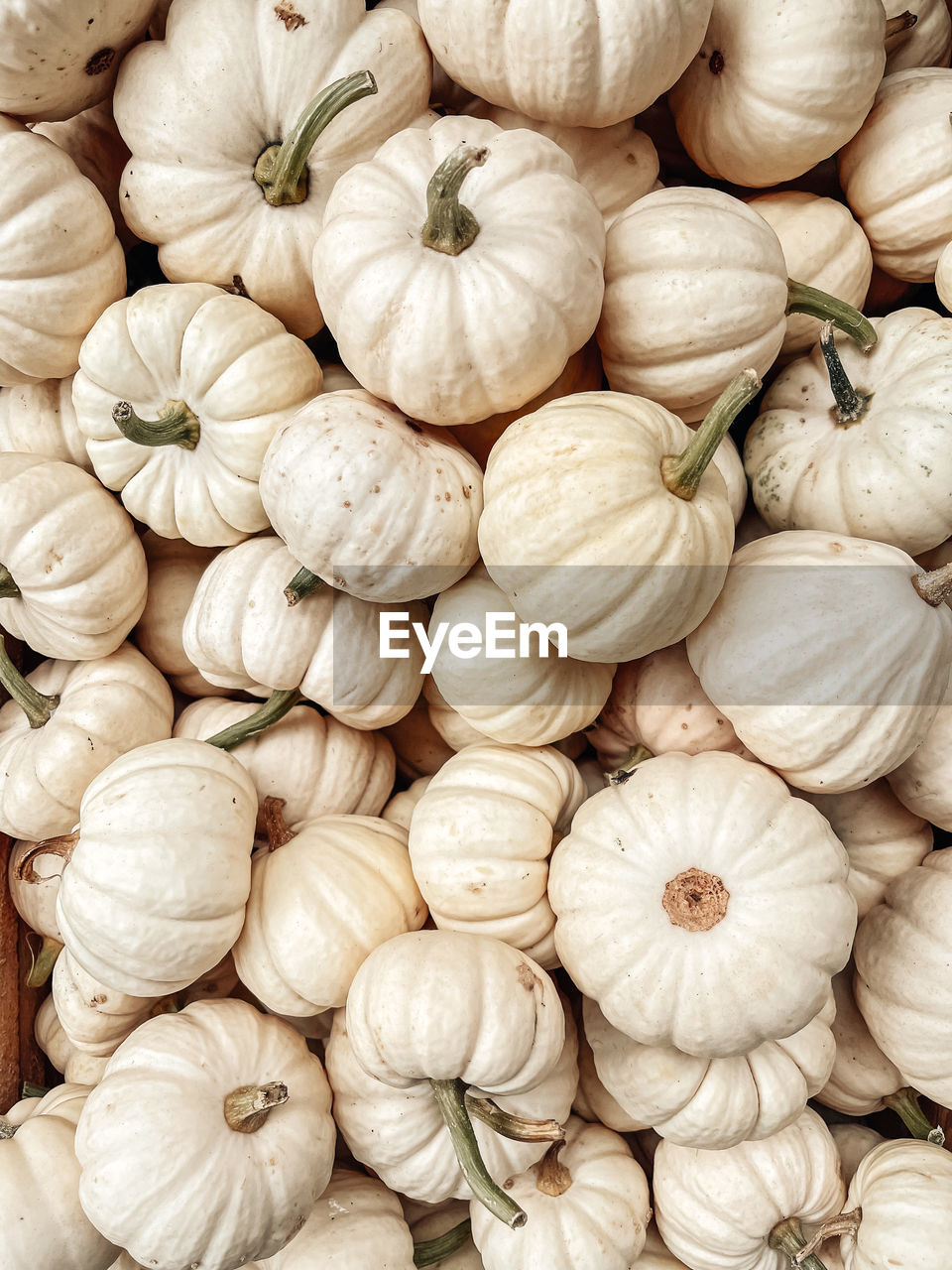 FULL FRAME SHOT OF ONIONS FOR SALE