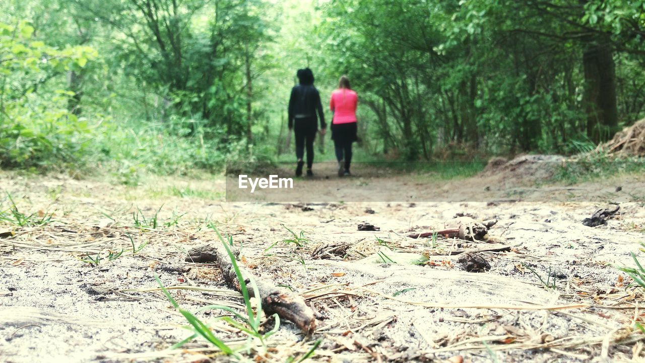 REAR VIEW OF TWO WOMEN WALKING IN FOREST