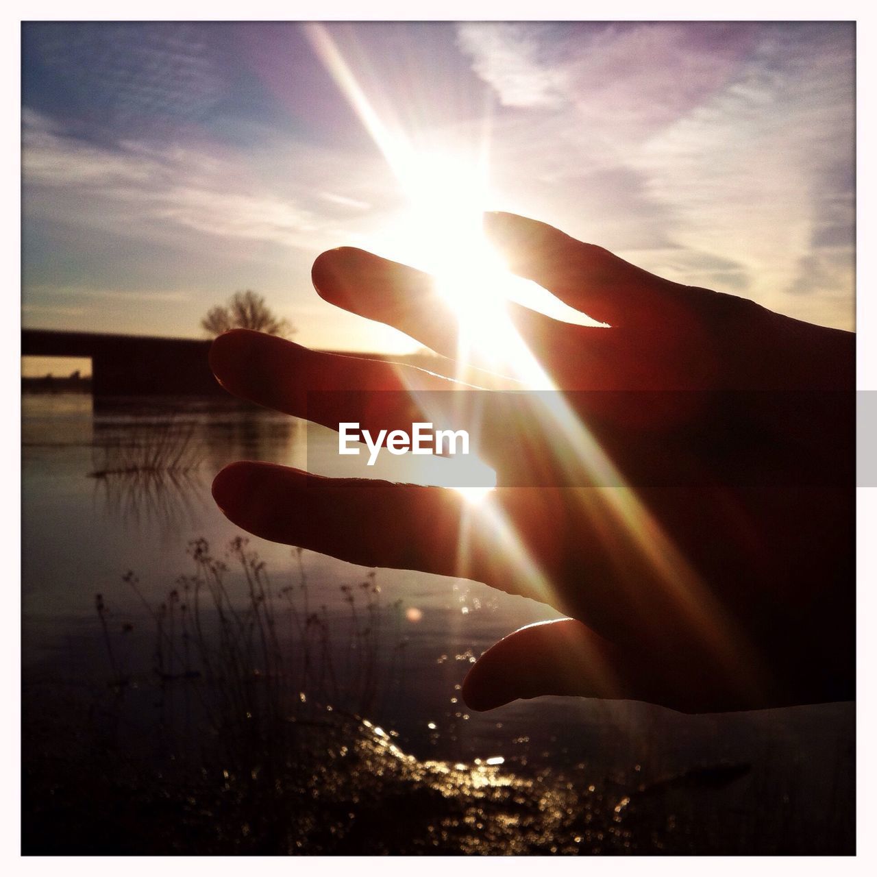 Cropped image of hand against lake during sunset