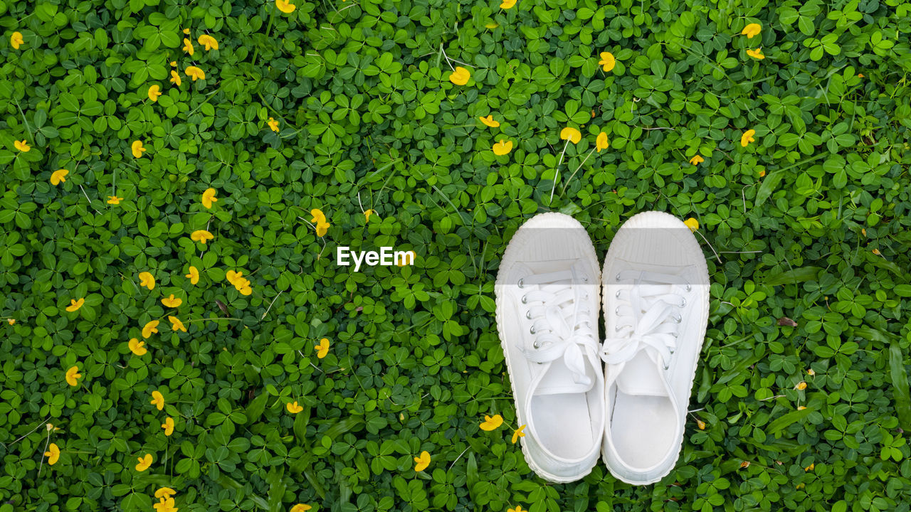 grass, green, yellow, shoe, plant, lawn, high angle view, nature, directly above, low section, meadow, flower, day, growth, flowering plant, human leg, footwear, outdoors, field, land, leaf, personal perspective, one person, standing, pair, beauty in nature, freshness, leisure activity, white, close-up, lifestyles