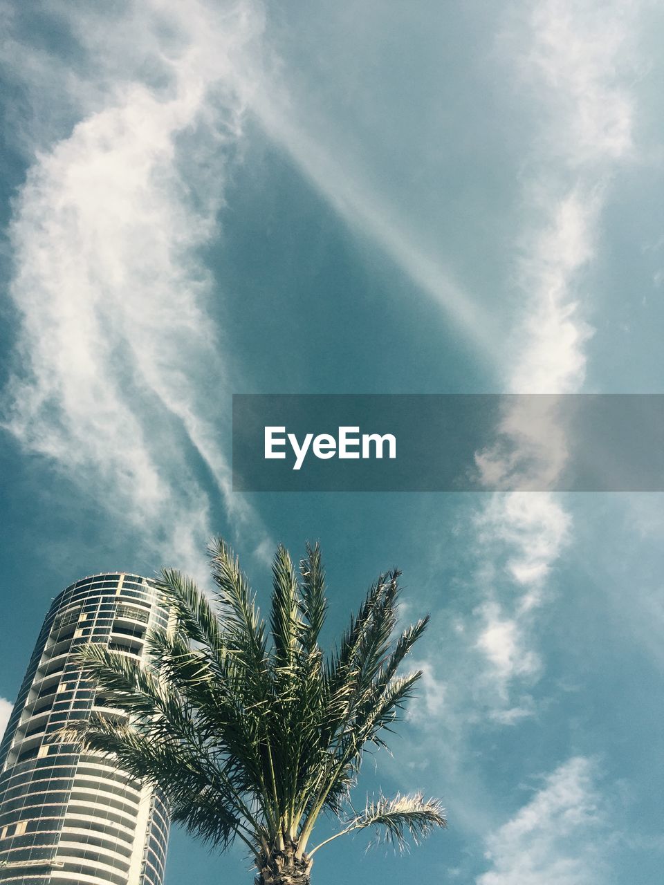 Low angle view of building and palm tree against sky