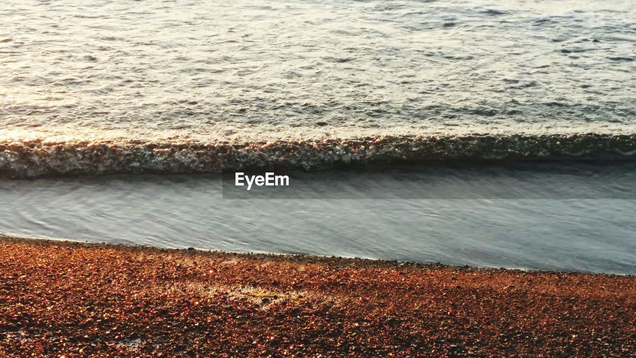 SCENIC VIEW OF SEA AND BEACH