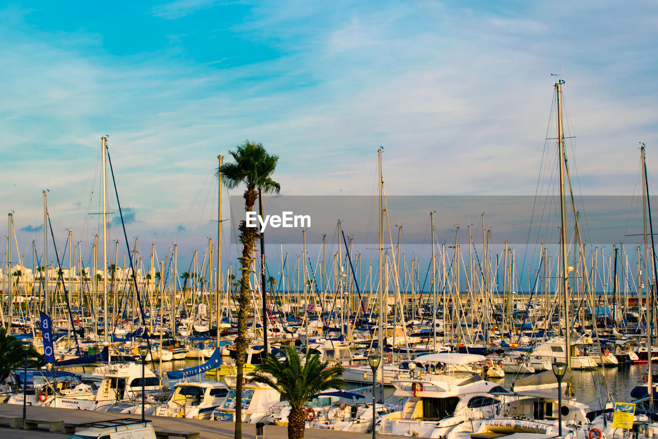 BOATS MOORED IN HARBOR