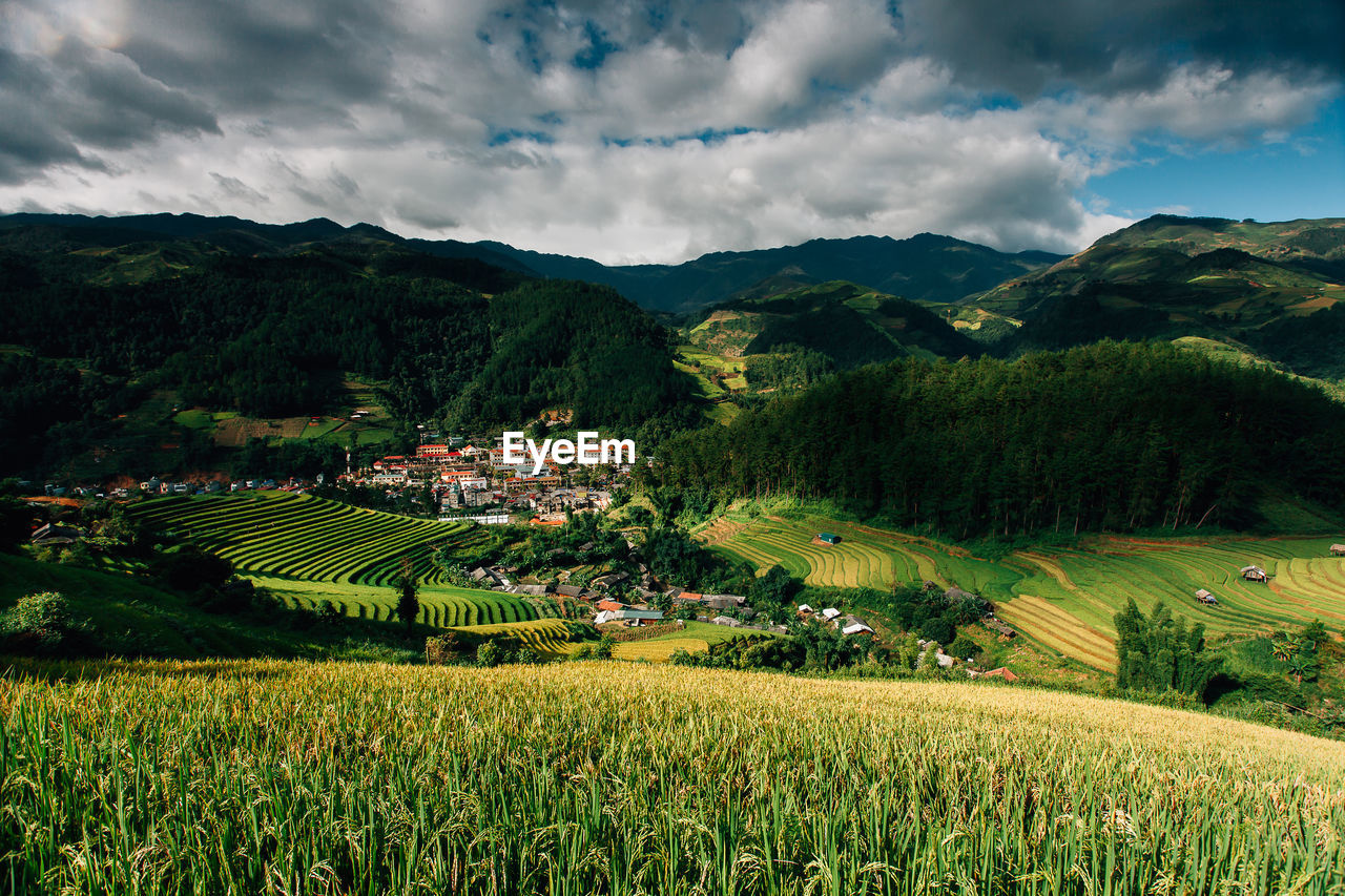 SCENIC VIEW OF AGRICULTURAL FIELD