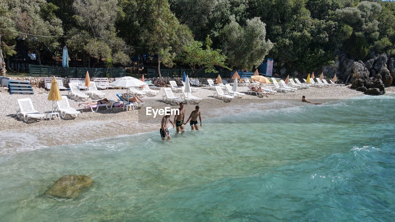 PEOPLE ON BEACH BY TREES