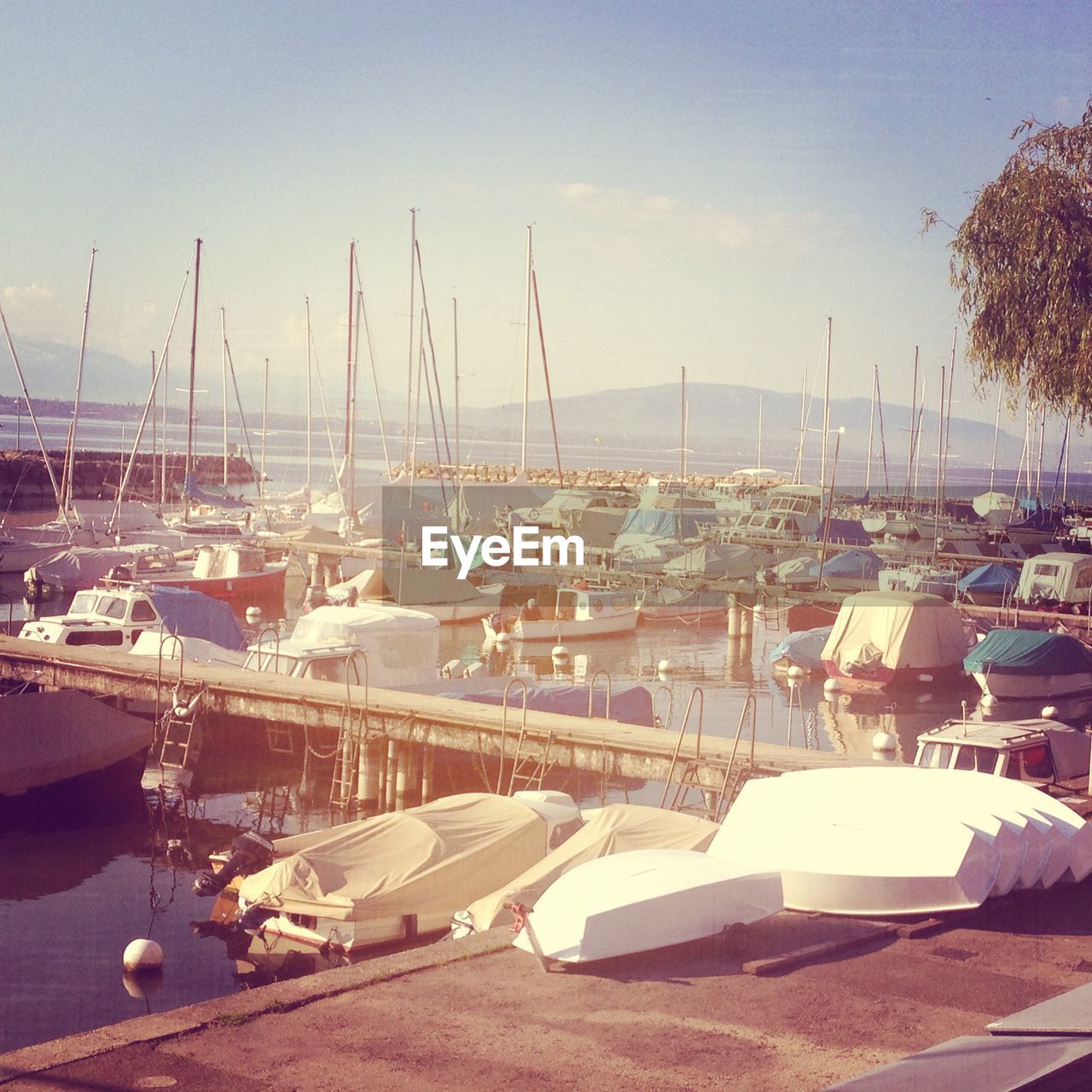 VIEW OF BOATS IN HARBOR