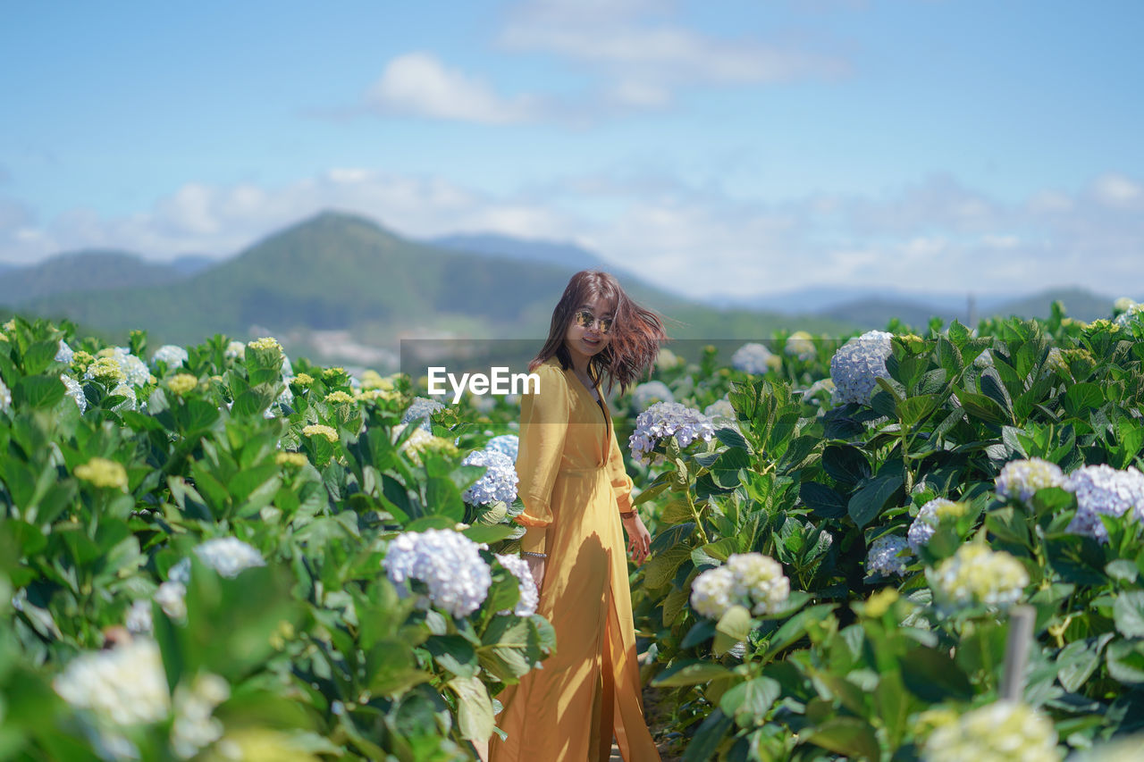 Beautiful asian woman in yellow dress walk in the hydrangea flowers garden.