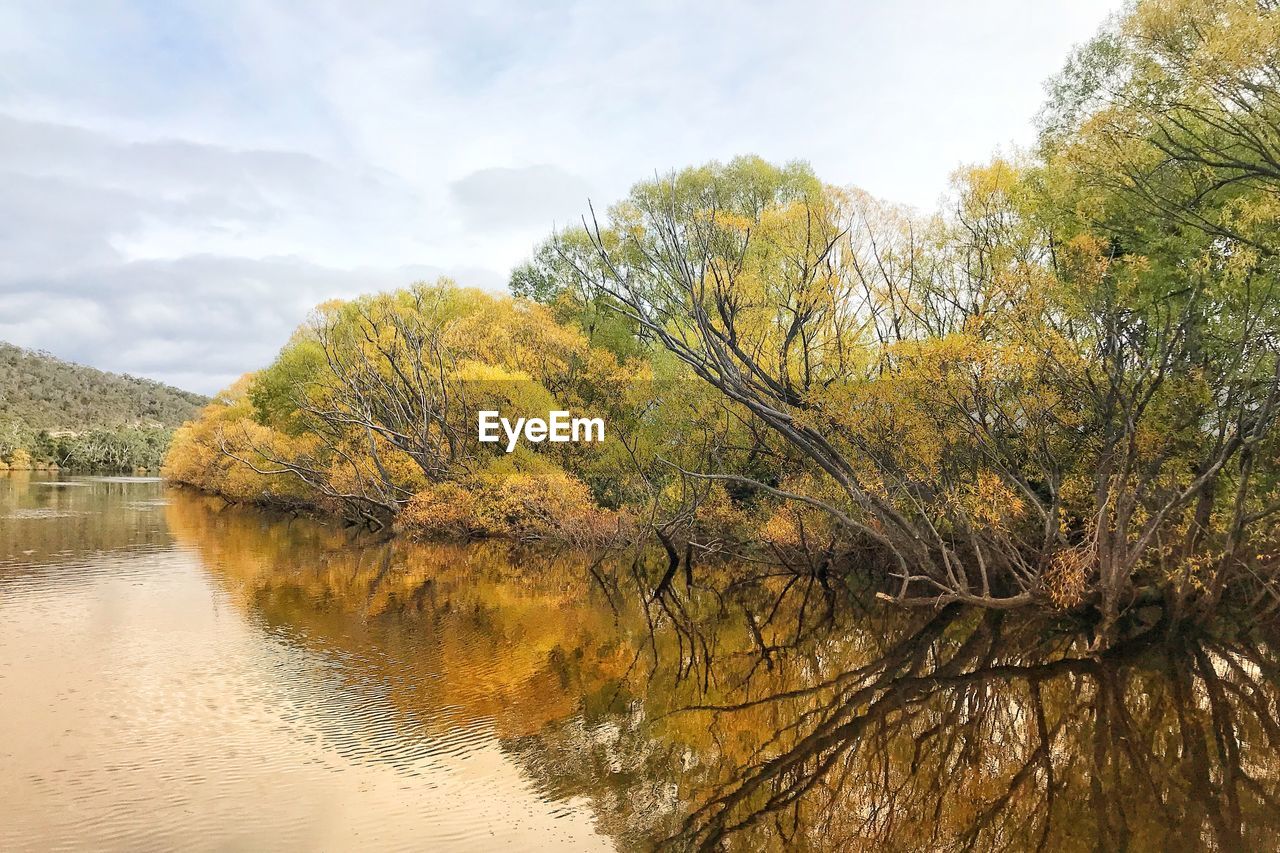 Trees by lake against sky during autumn