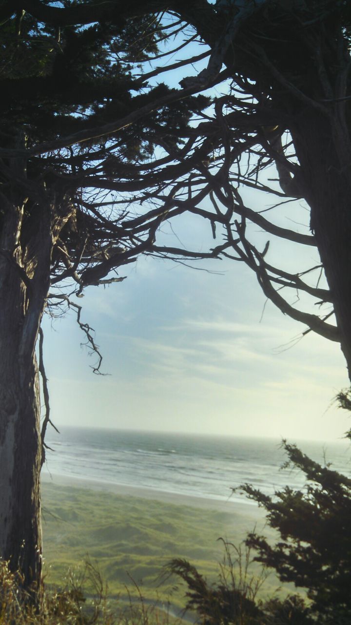 SCENIC VIEW OF SEA WITH TREES IN BACKGROUND