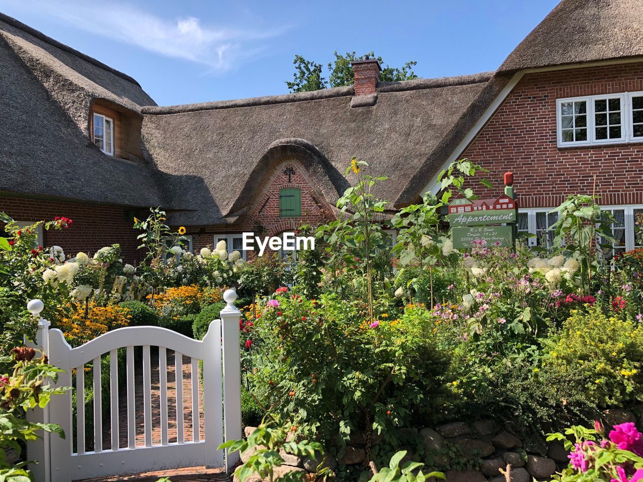 PLANTS GROWING BY BUILDING