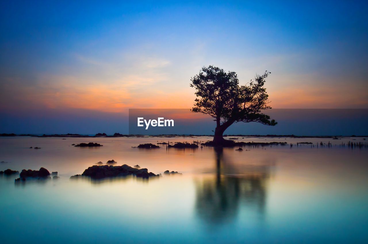 Silhouette tree by lake against sky during sunset