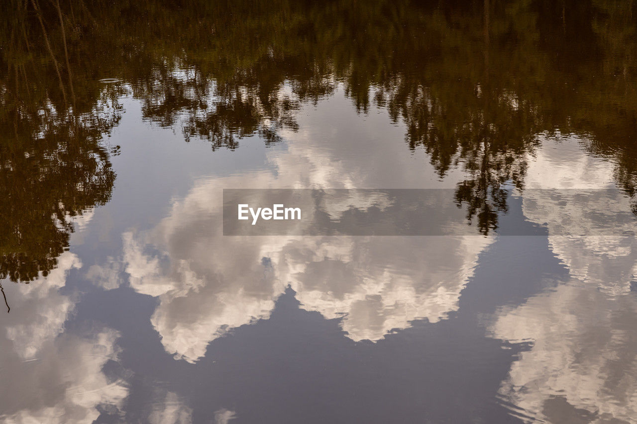 reflection, water, nature, sunlight, sky, cloud, tranquility, lake, beauty in nature, morning, tree, no people, plant, scenics - nature, outdoors, tranquil scene, day, environment, idyllic