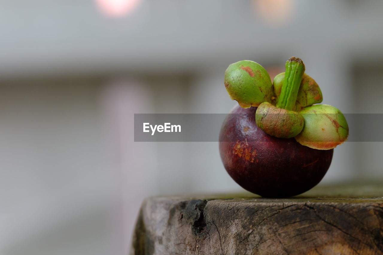 CLOSE-UP OF APPLE ON TREE