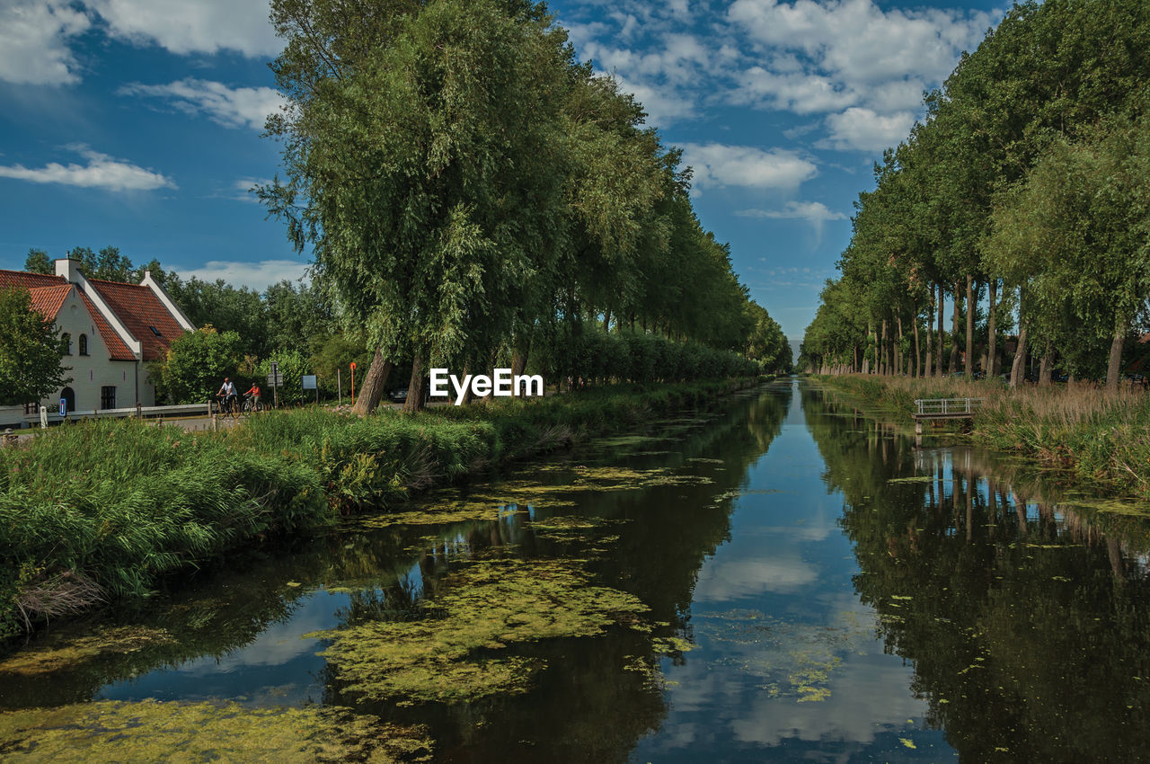 Trees and houses along canal with sky reflected on water in damme. a country village in belgium.