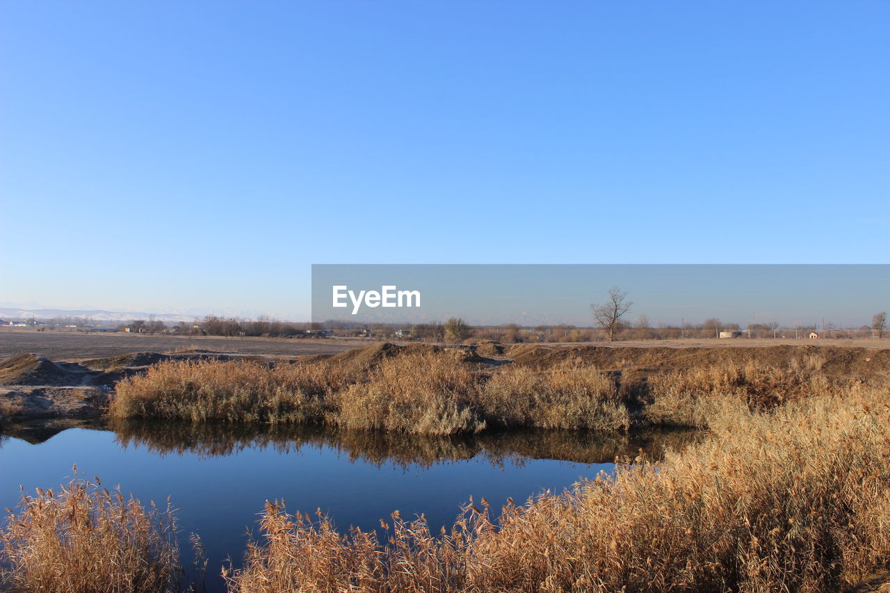 SCENIC VIEW OF FIELD AGAINST CLEAR SKY