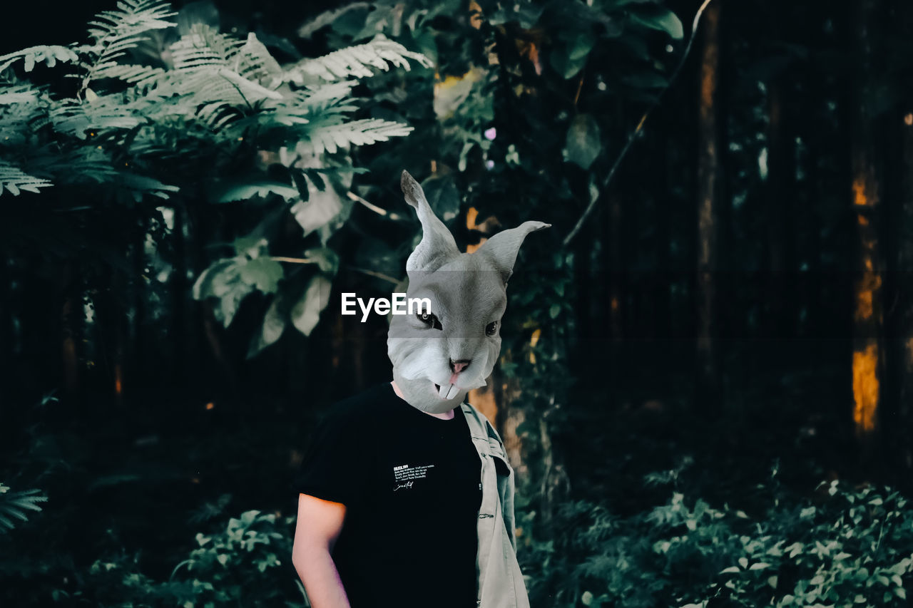 one person, animal, darkness, animal themes, disguise, mask, mammal, mask - disguise, nature, tree, animal representation, plant, portrait, forest, representation, costume, animal wildlife, outdoors, clothing, screenshot, one animal, night, standing