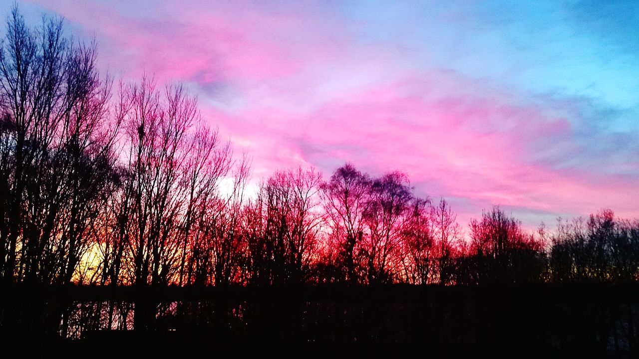 SCENIC VIEW OF SILHOUETTE TREES AGAINST SKY AT SUNSET