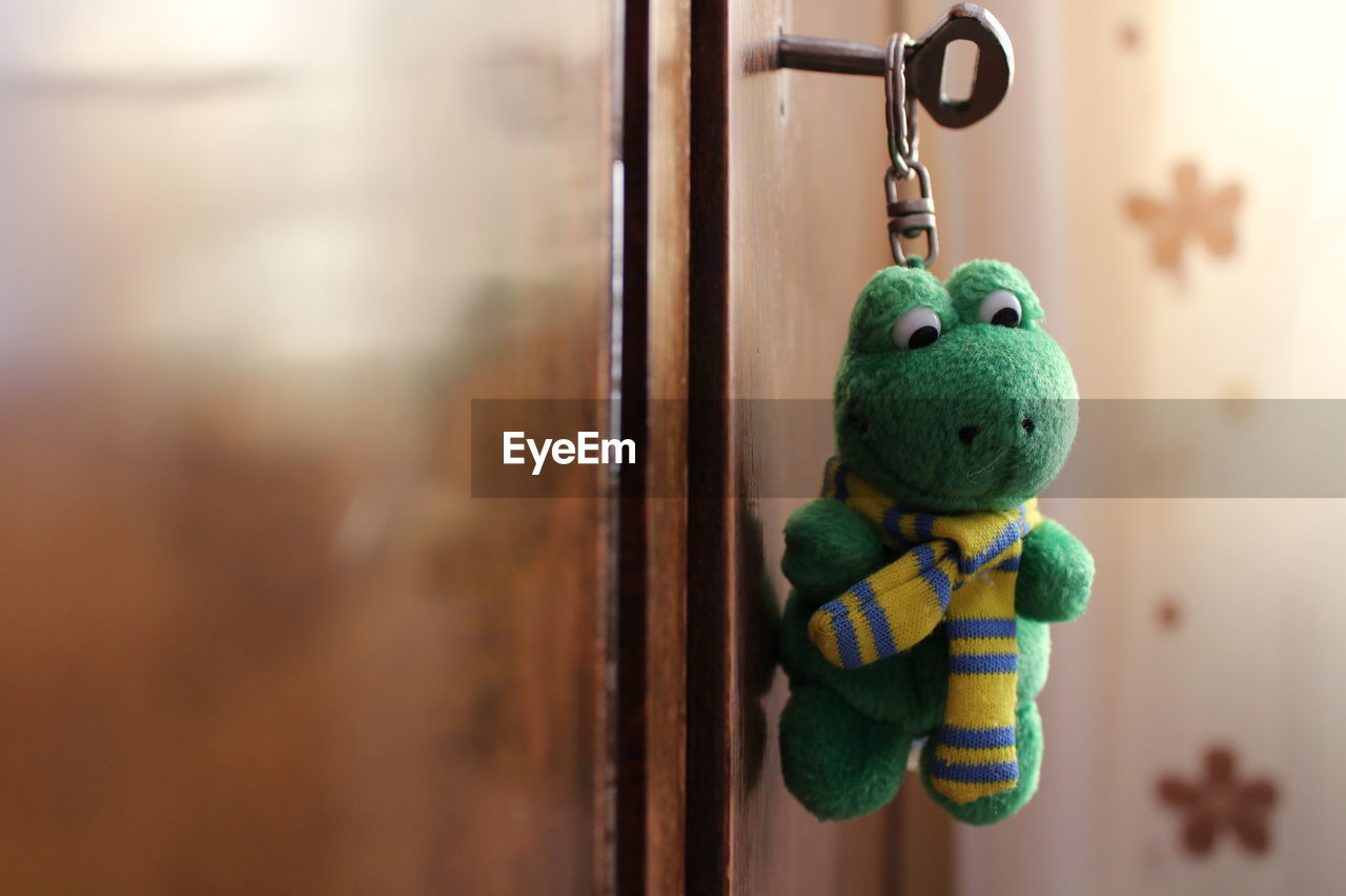 Close-up of frog shape key ring in cabinet