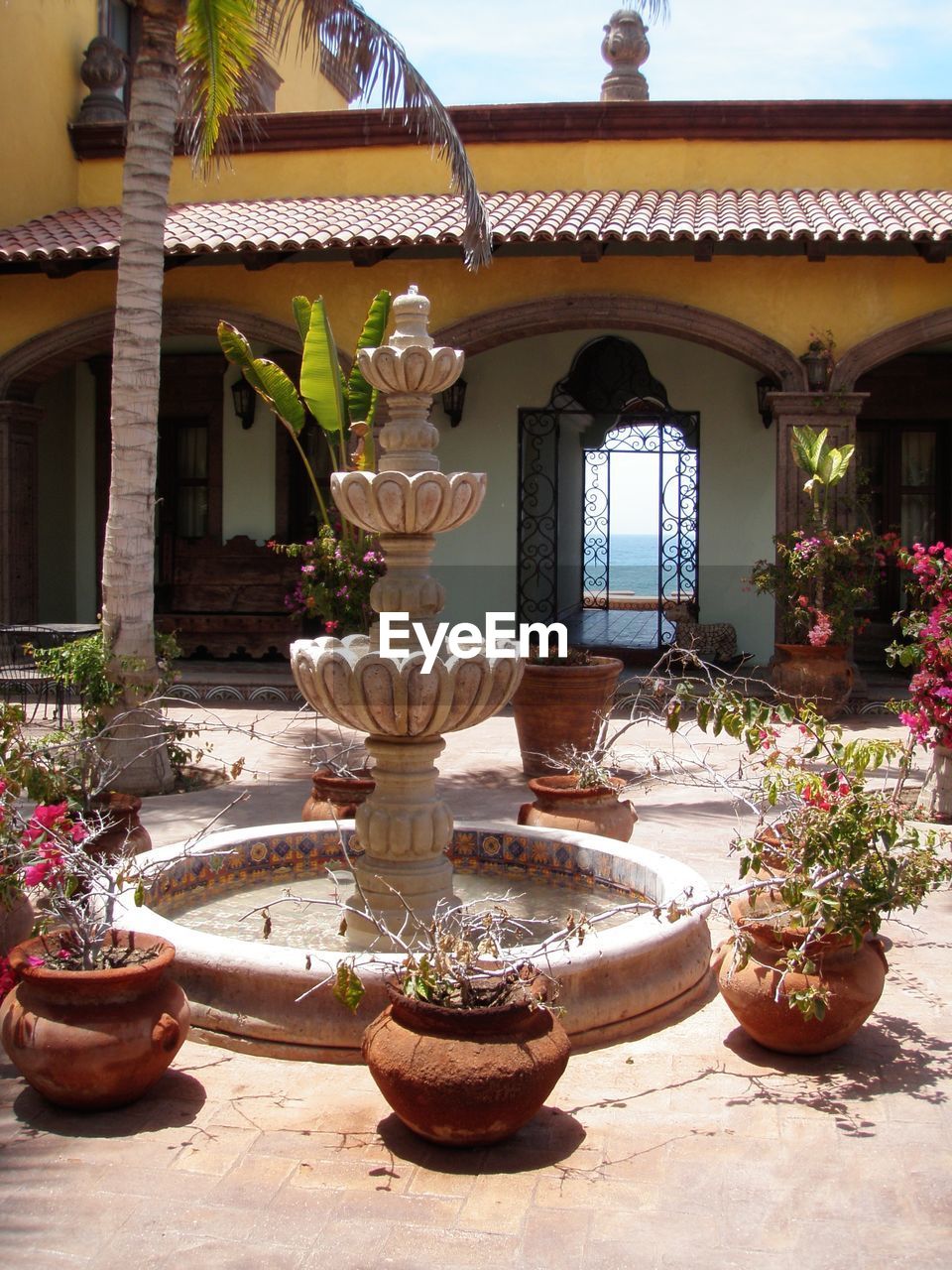 POTTED PLANTS IN FRONT OF OLD TEMPLE