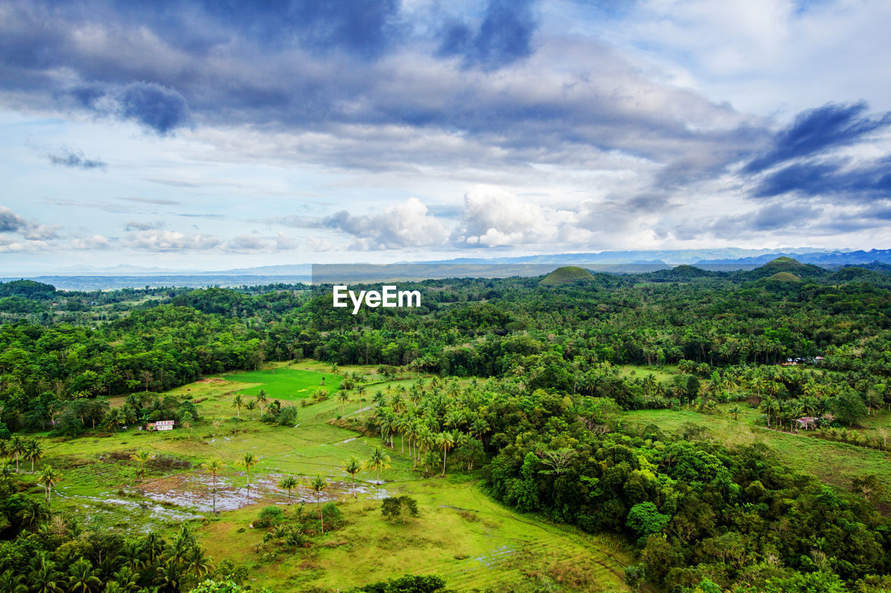 Scenic view of agricultural field against sky