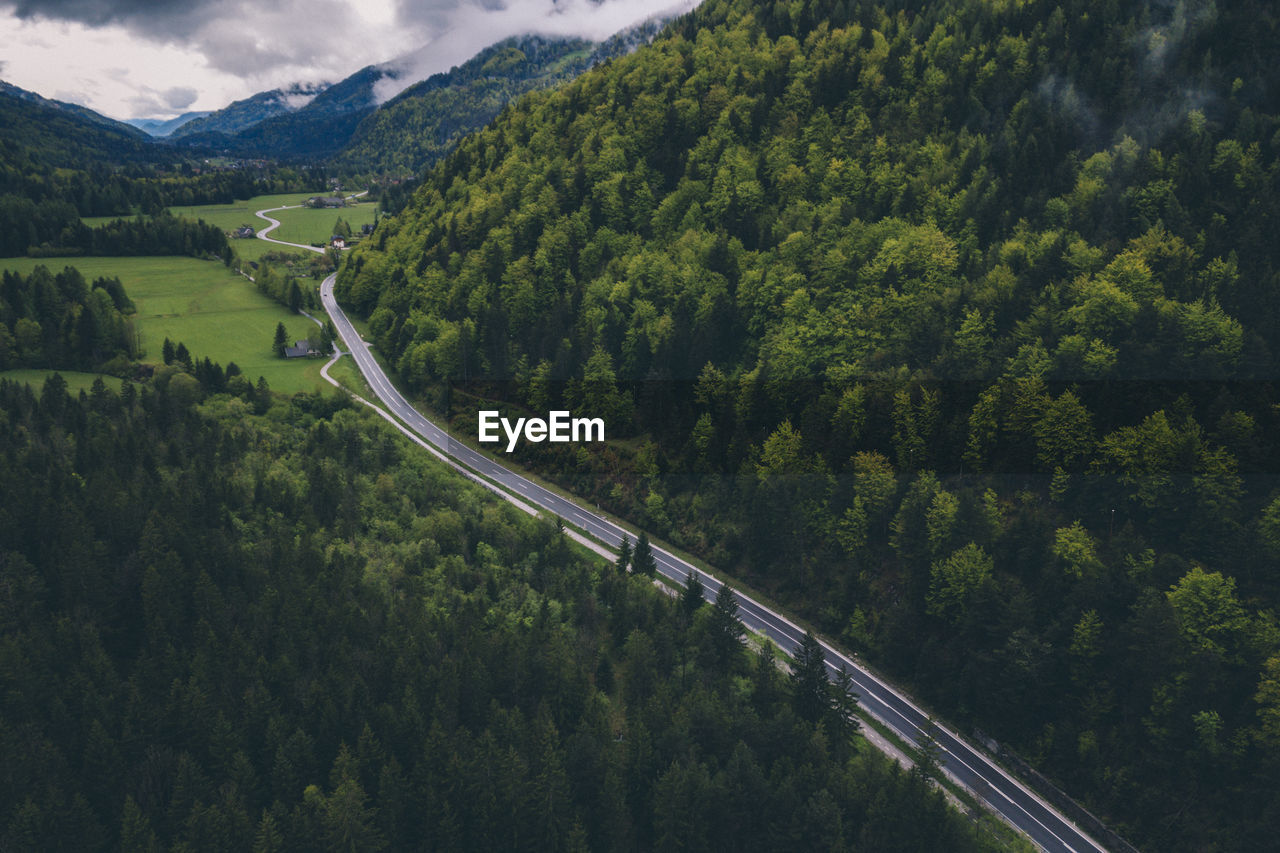 High angle view of road amidst trees in forest