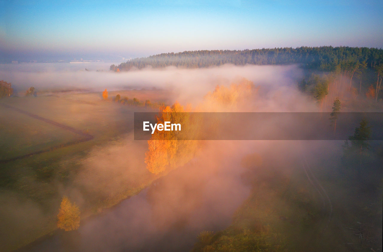 PANORAMIC VIEW OF TREES AGAINST SKY