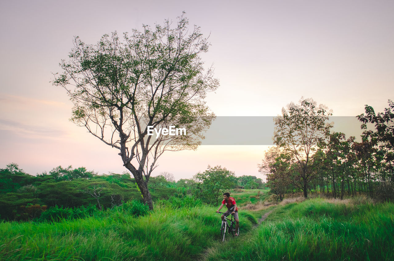 Young man riding a bicycle on meadow at sunset, surabaya, indonesia