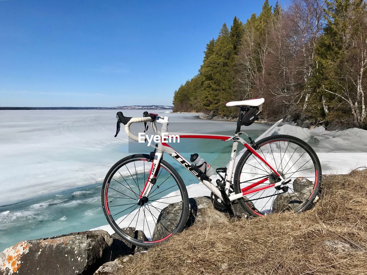 BICYCLE PARKED BY TREE ON MOUNTAIN AGAINST SKY