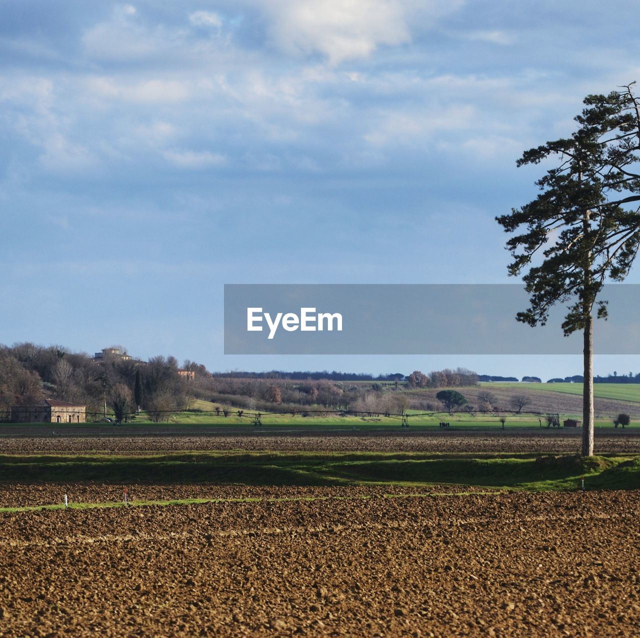 field, landscape, agriculture, environment, plant, sky, soil, rural area, land, rural scene, grass, tree, horizon, nature, plain, cloud, farm, food and drink, crop, food, growth, hill, no people, scenics - nature, prairie, vegetable, outdoors, day, beauty in nature, tranquility, healthy eating, grassland