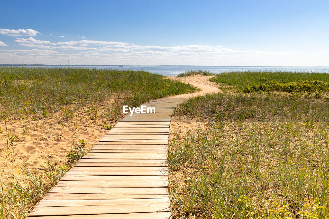 Ecological hiking trail in national park through sand dunes, beach, sedge thickets and plants