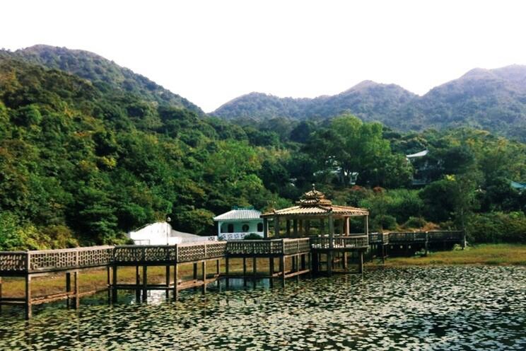 SCENIC VIEW OF MOUNTAINS AND TREES