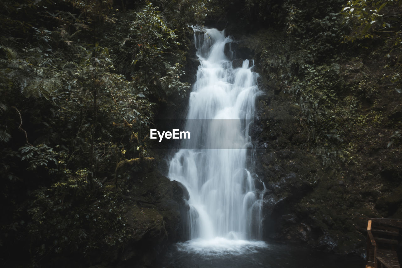 WATERFALL IN FOREST