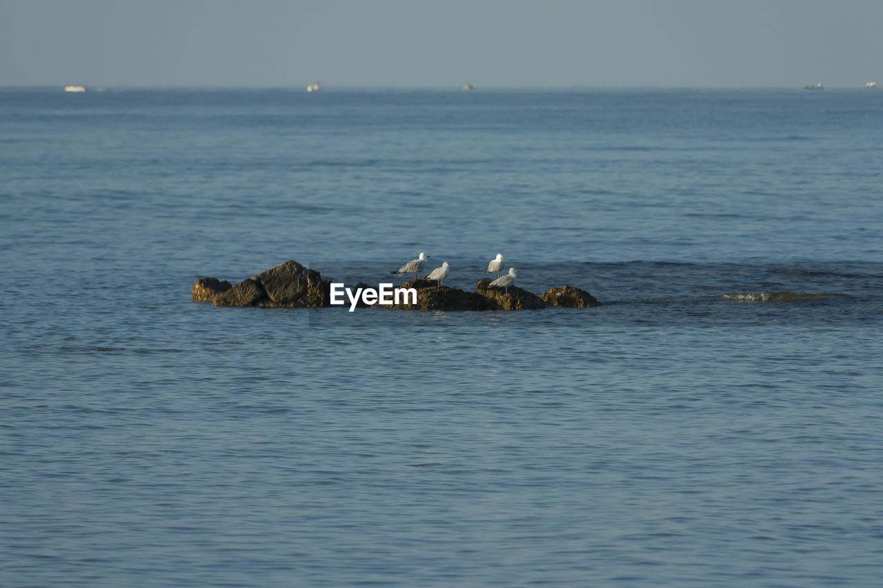 VIEW OF SEA AGAINST SKY