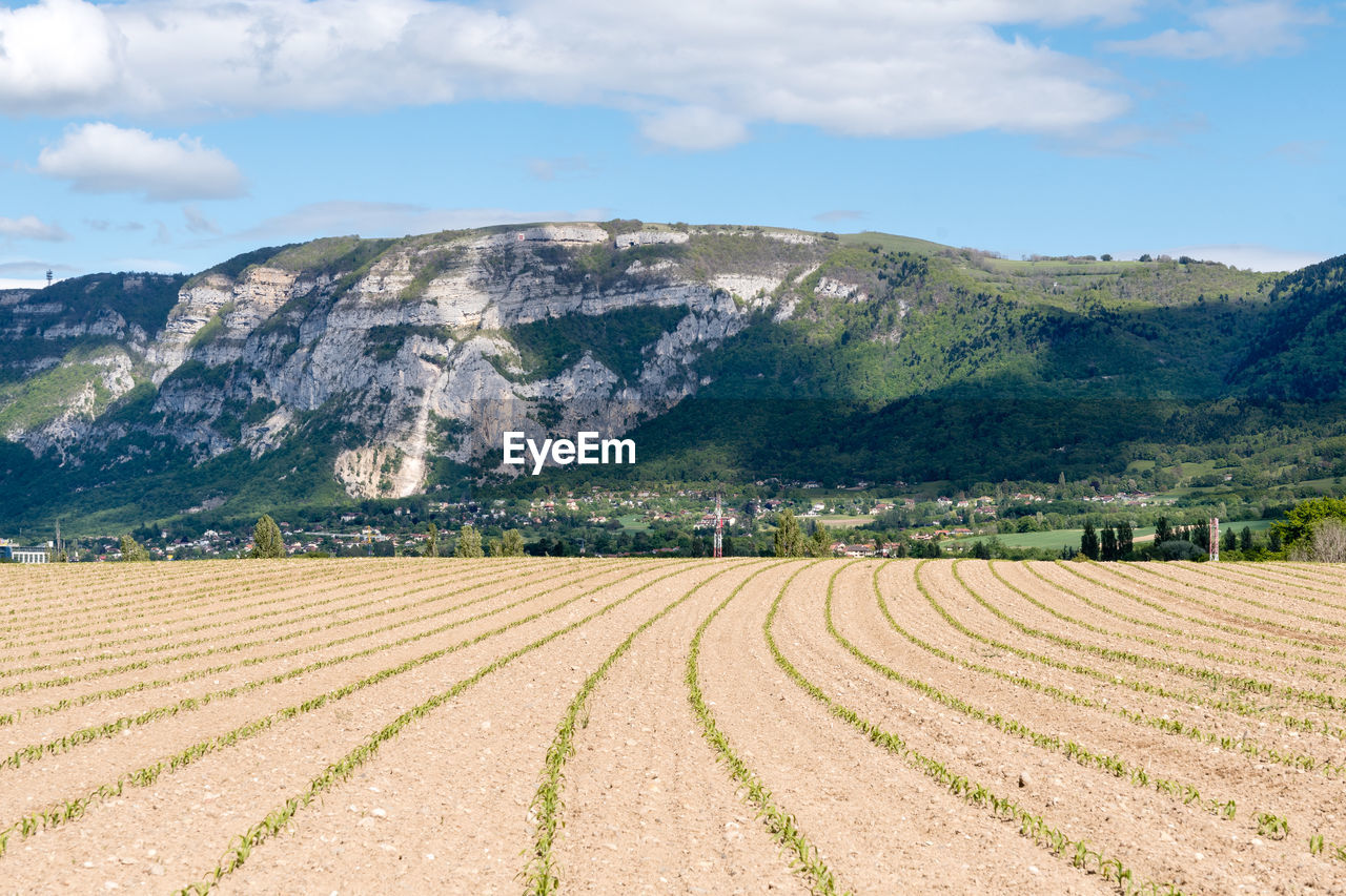 Scenic view of agricultural field near saleve mountain