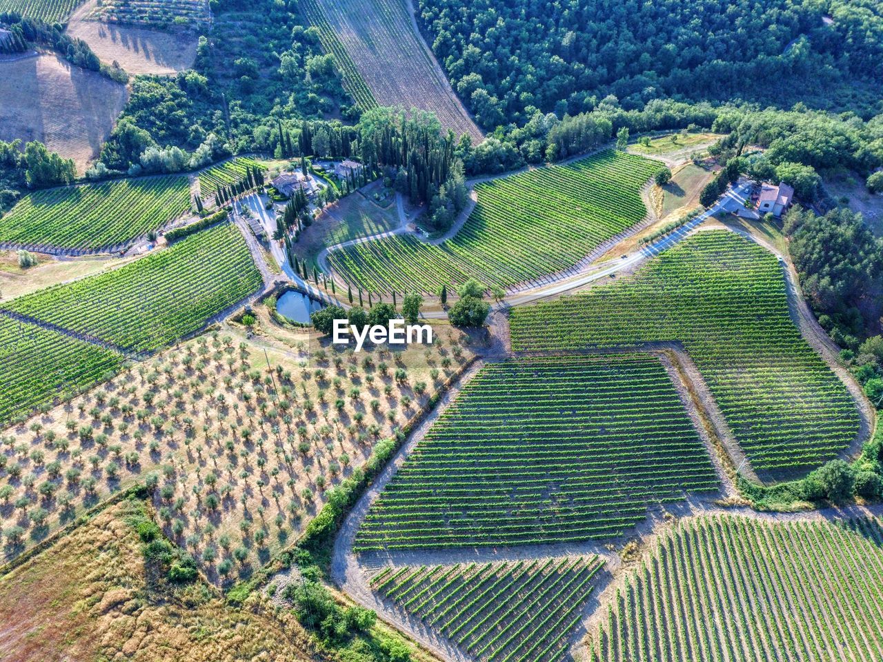 HIGH ANGLE VIEW OF FARM