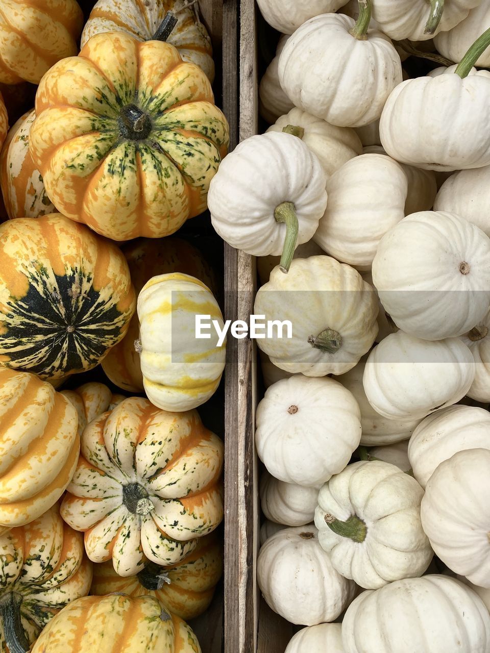 FULL FRAME SHOT OF PUMPKINS FOR SALE AT MARKET