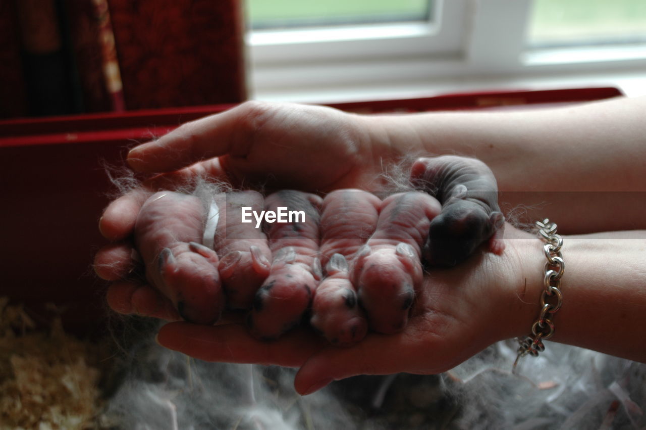 CLOSE-UP OF WOMAN HOLDING HANDS ON TABLE