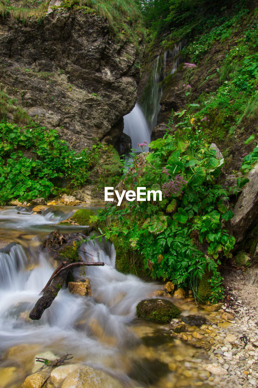 SCENIC VIEW OF WATERFALL