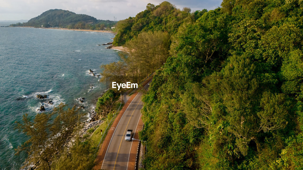 high angle view of road amidst plants