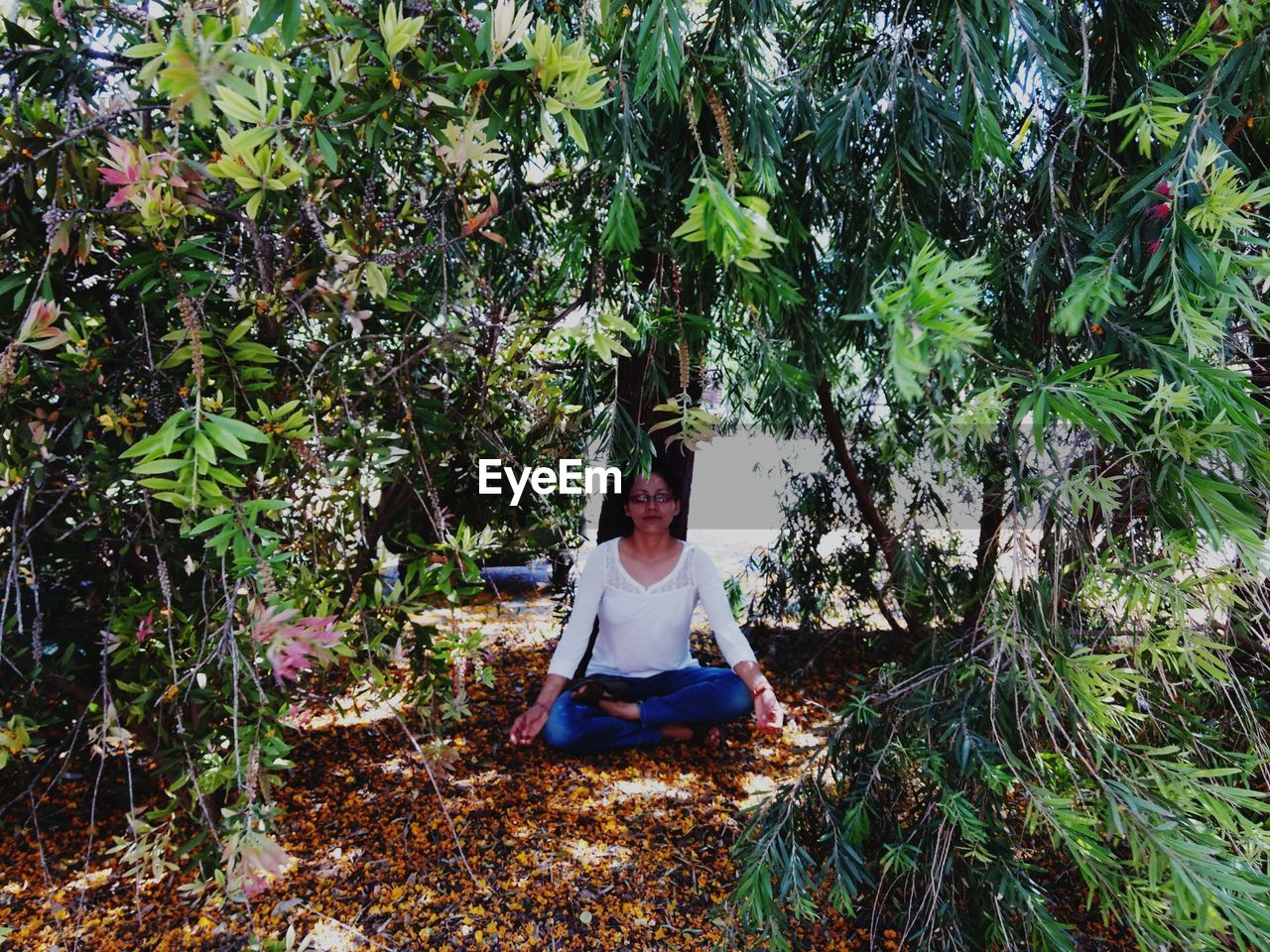 Woman practicing yoga amidst trees