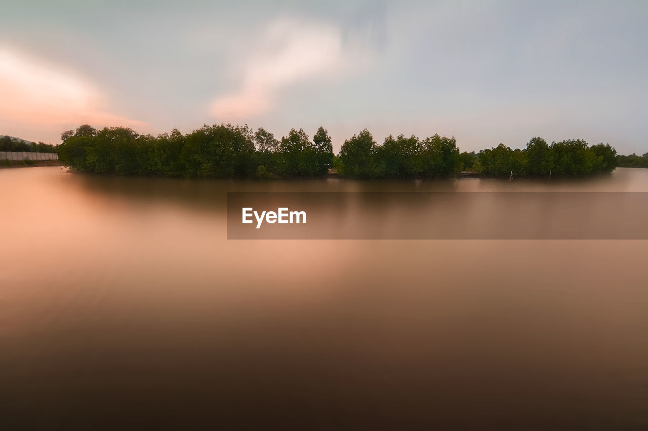 Reflection of trees in lake