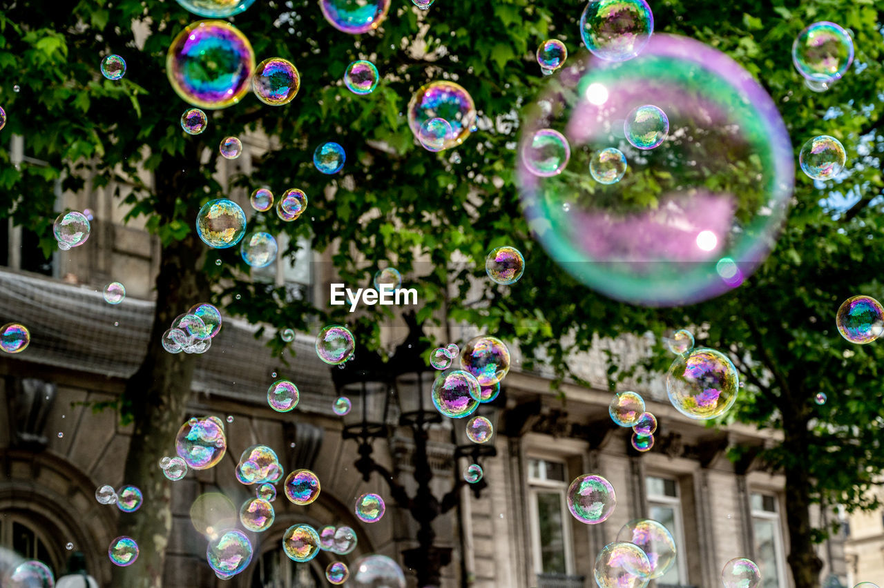bubble, soap sud, fragility, liquid bubble, bubble wand, mid-air, multi colored, nature, plant, blowing, day, no people, tree, screenshot, outdoors, shape, flying, sphere, lightweight, transparent, architecture, soap, decoration