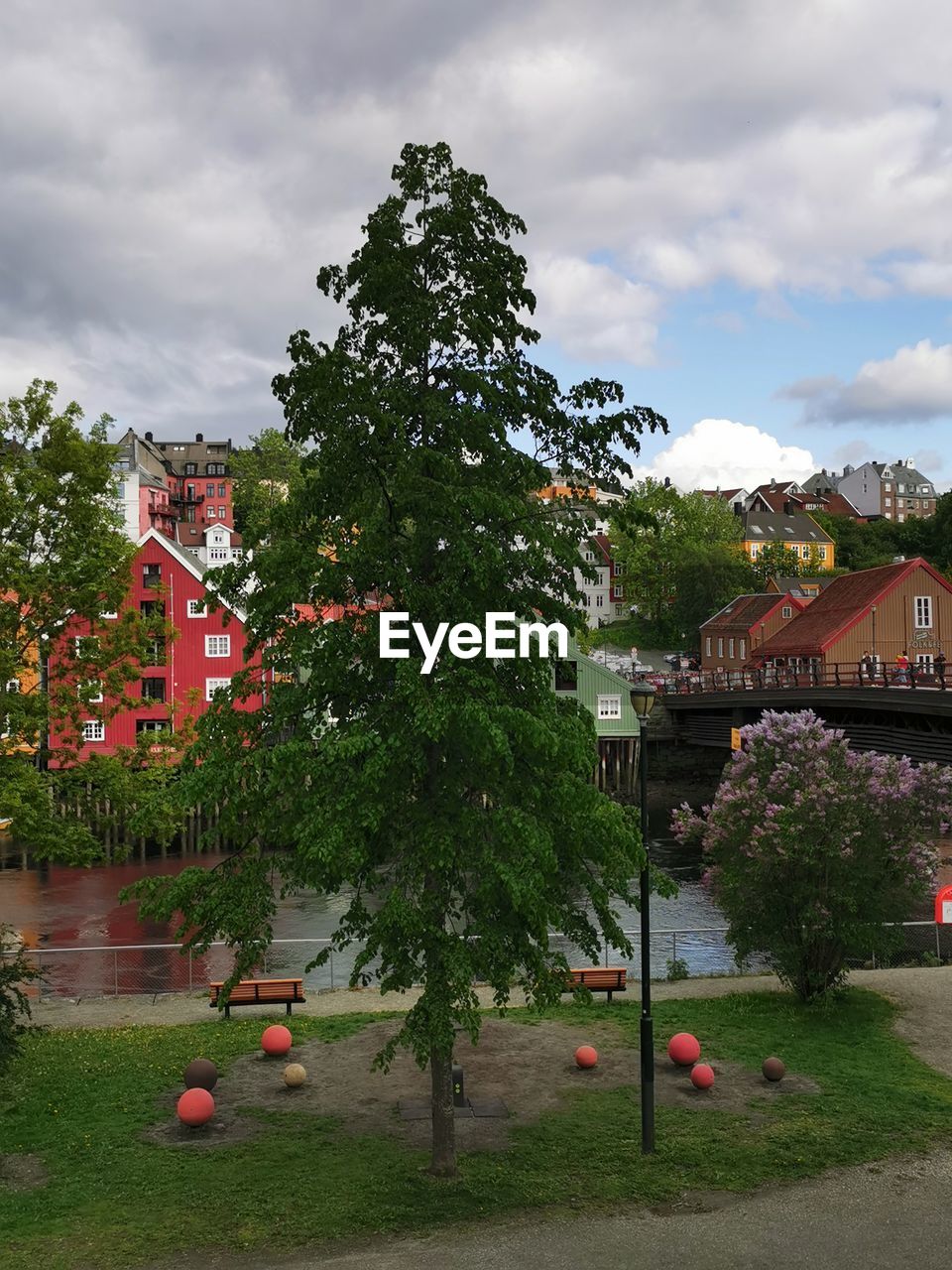 TREES AND HOUSES AGAINST SKY IN TOWN