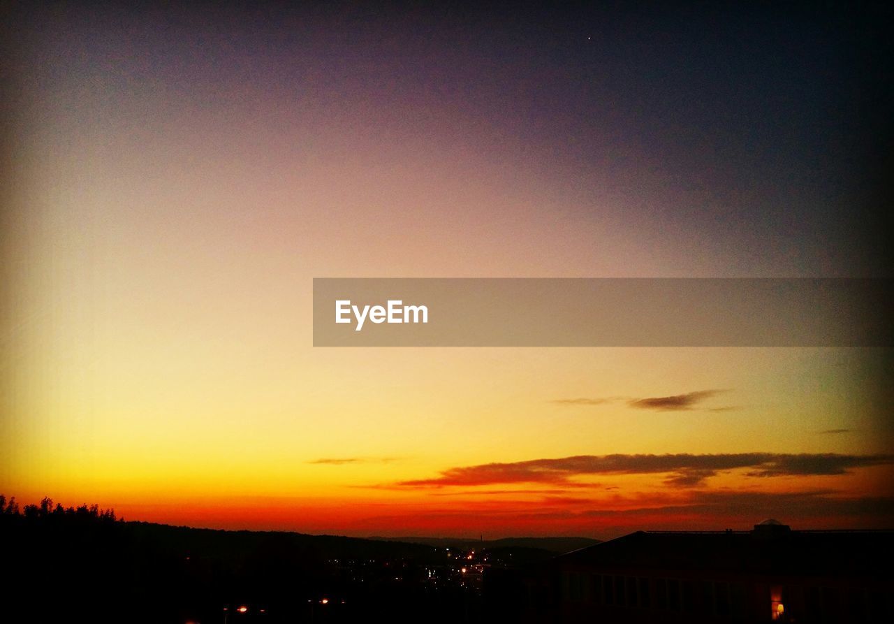 SILHOUETTE OF TREES AT SUNSET