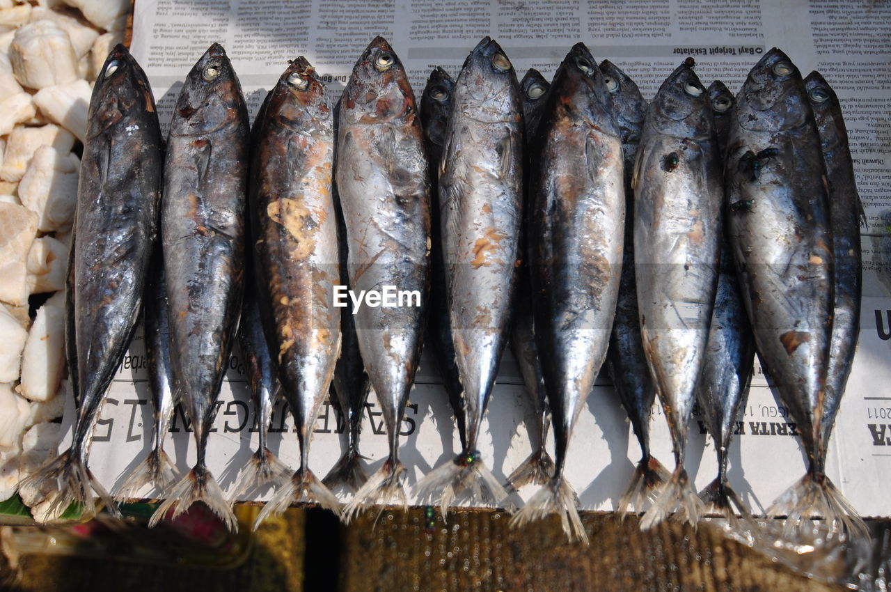 High angle view of fish for sale at market