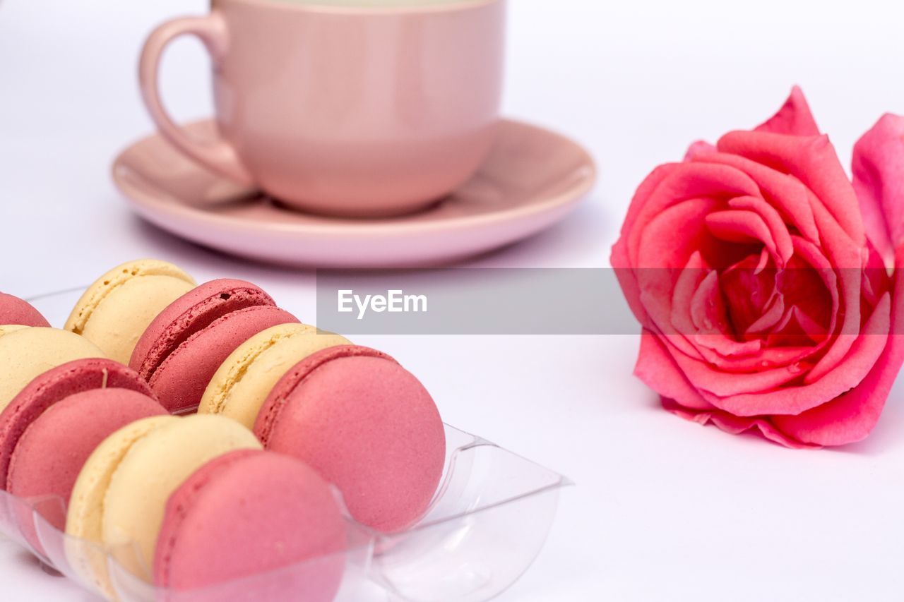 Close-up of macaroons with coffee cup and rose on white background