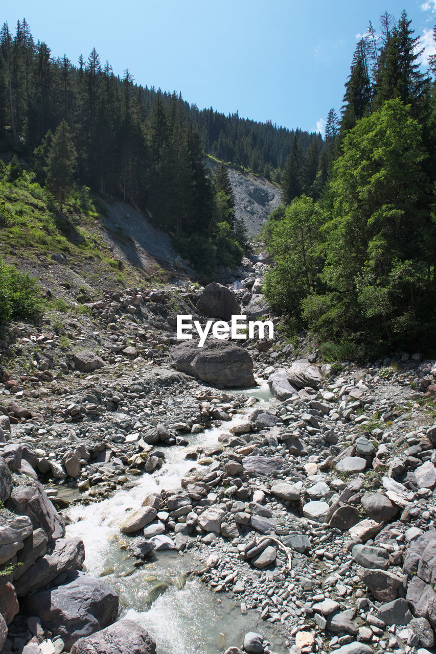 Stream flowing through rocks in forest