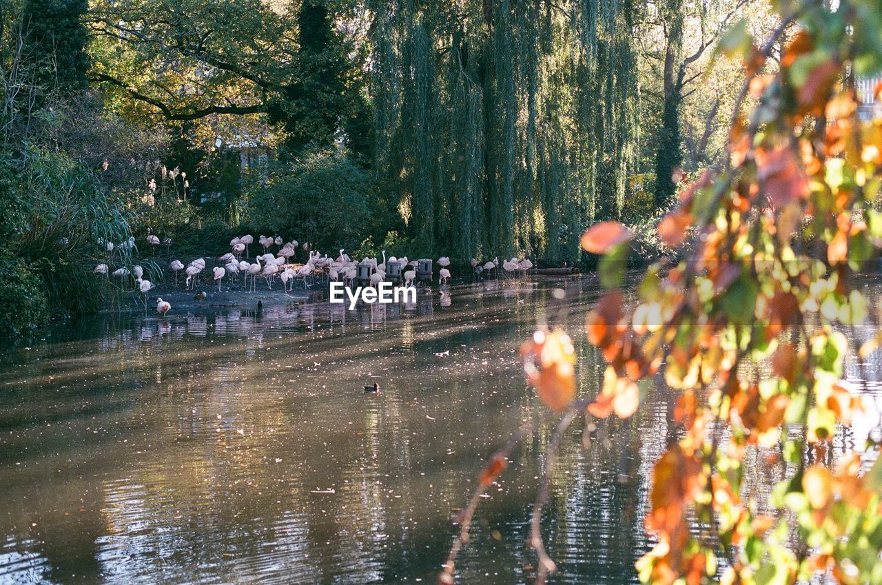 scenic view of river
