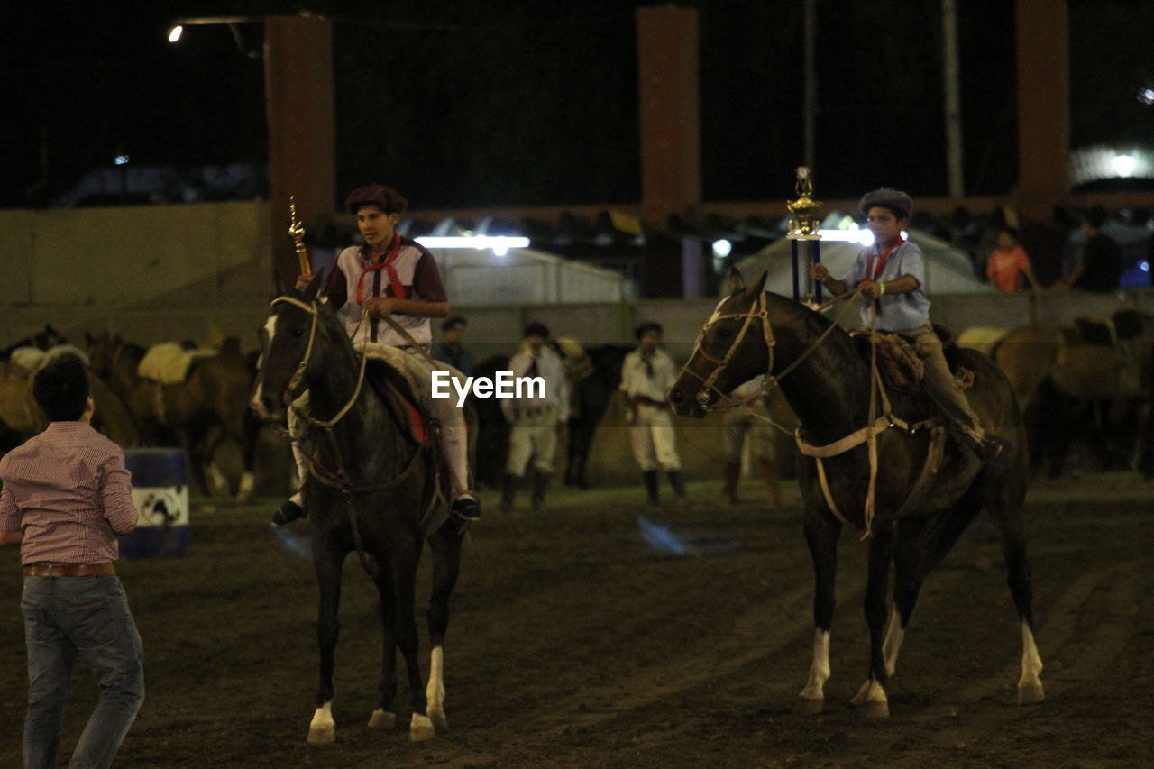 VIEW OF HORSE IN THE DARK